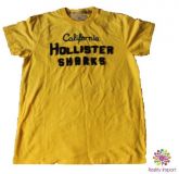 Camiseta Hollister L (Grande)