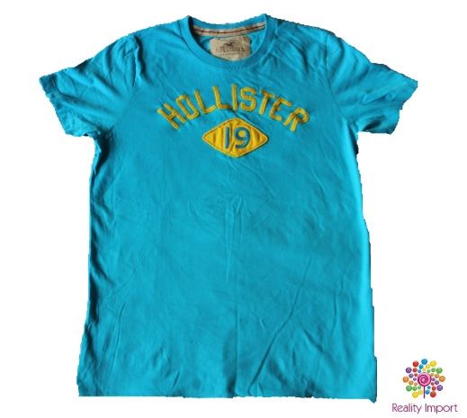 Camiseta Hollister L (Grande)