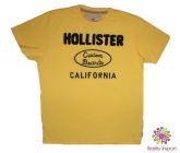 Camiseta Hollister L (Grande)